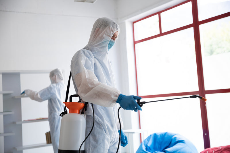 How to Use Disinfectant in your Home - A Complete Guide
