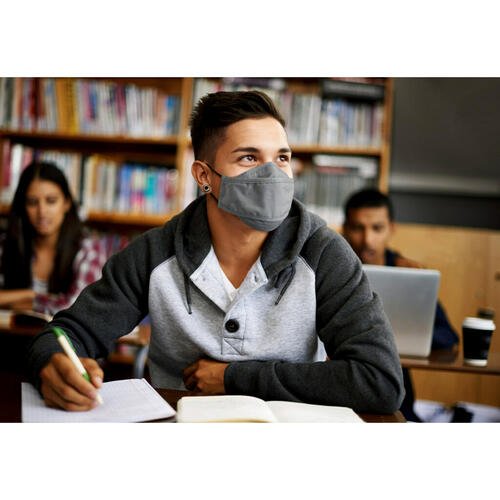 3M RFM1003 Daily Face Masks Washable Cotton, Gray, 3/Pack