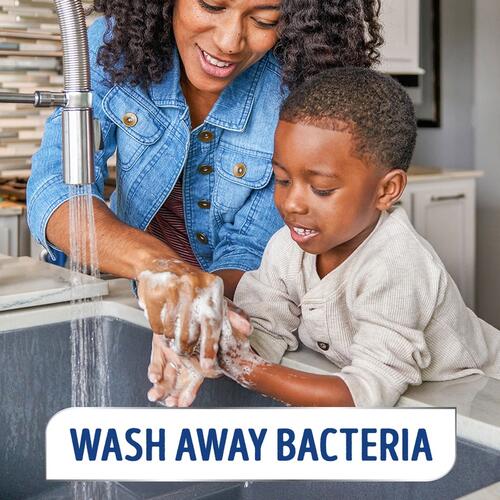 Softsoap Antibacterial Kitchen Fresh Hands Soap (04206)