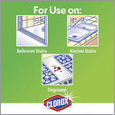 Clorox Disinfectant Cleaner with Bleach Spray (35417PL)