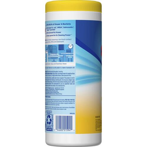 Clorox Bleach Germicidal Cleaner (68832BD)