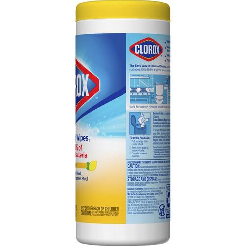 Clorox (01594)