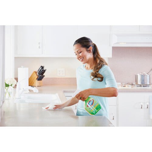 Clorox 31221 Clean-Up Cleaner + Bleach